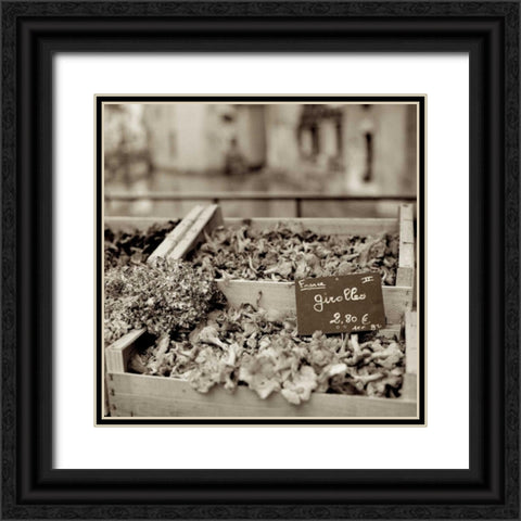 Marketplace - 37 Black Ornate Wood Framed Art Print with Double Matting by Blaustein, Alan