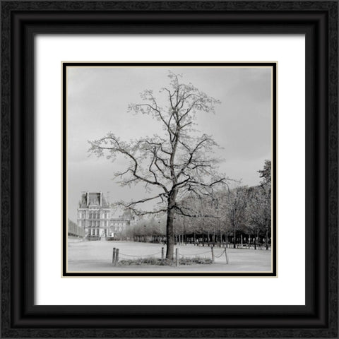 Paris - 22 Black Ornate Wood Framed Art Print with Double Matting by Blaustein, Alan