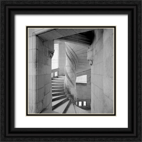 Chateau - 3 Black Ornate Wood Framed Art Print with Double Matting by Blaustein, Alan