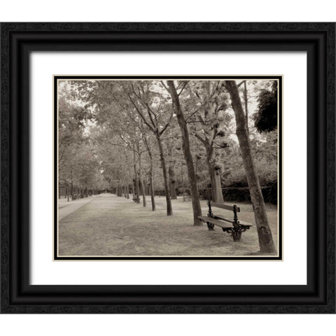 Banc de Jardin - 44 Black Ornate Wood Framed Art Print with Double Matting by Blaustein, Alan