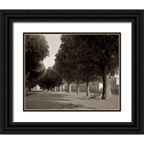 Banc de Jardin - 46 Black Ornate Wood Framed Art Print with Double Matting by Blaustein, Alan