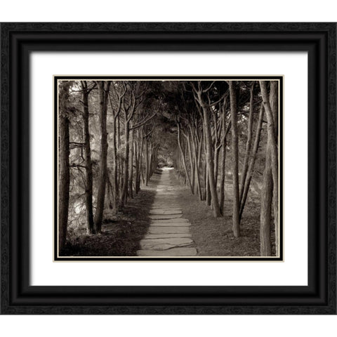 Banc de Jardin - 75 Black Ornate Wood Framed Art Print with Double Matting by Blaustein, Alan