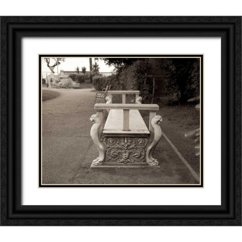 Banc de Jardin - 85 Black Ornate Wood Framed Art Print with Double Matting by Blaustein, Alan
