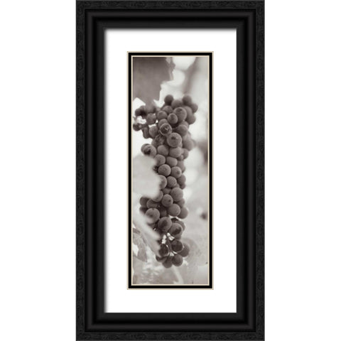 Grapes Pano - 2 Black Ornate Wood Framed Art Print with Double Matting by Blaustein, Alan