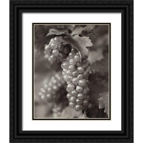 Grapes - 21 Black Ornate Wood Framed Art Print with Double Matting by Blaustein, Alan