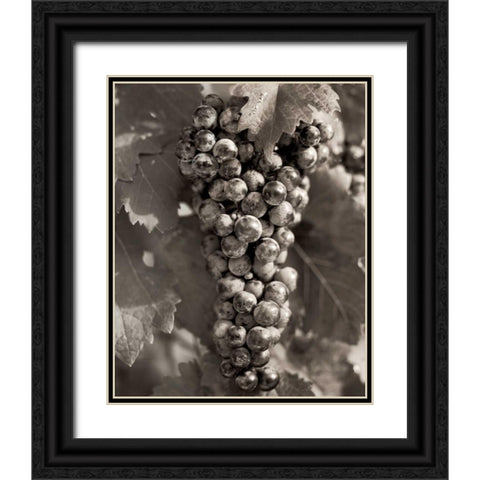 Grapes - 23 Black Ornate Wood Framed Art Print with Double Matting by Blaustein, Alan