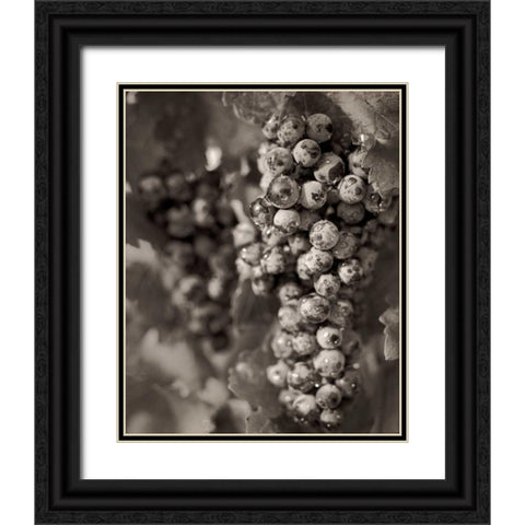Grapes - 24 Black Ornate Wood Framed Art Print with Double Matting by Blaustein, Alan