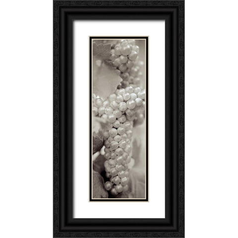 Grapes Pano - 7 Black Ornate Wood Framed Art Print with Double Matting by Blaustein, Alan