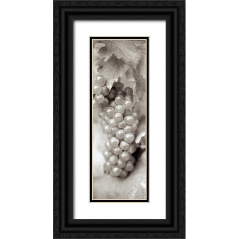 Grapes Pano - 5 Black Ornate Wood Framed Art Print with Double Matting by Blaustein, Alan