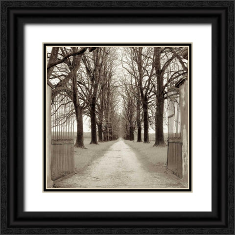 Veneto Giardini - 1 Black Ornate Wood Framed Art Print with Double Matting by Blaustein, Alan