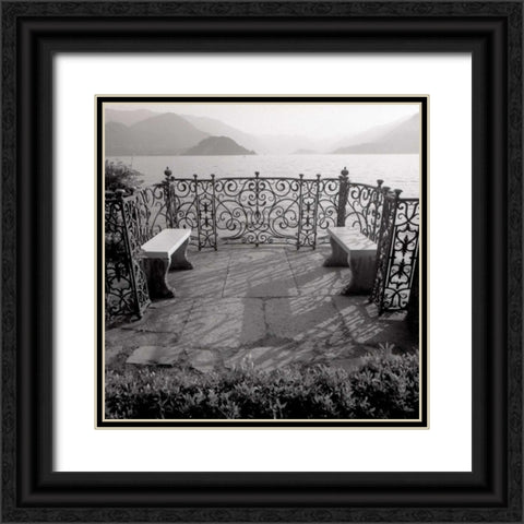 Lake Vista - 2 Black Ornate Wood Framed Art Print with Double Matting by Blaustein, Alan