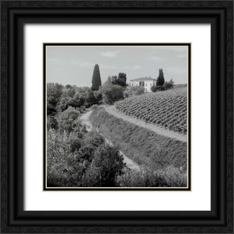 Tuscany - 5 Black Ornate Wood Framed Art Print with Double Matting by Blaustein, Alan