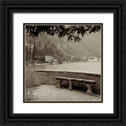 Lombardy - 10 Black Ornate Wood Framed Art Print with Double Matting by Blaustein, Alan
