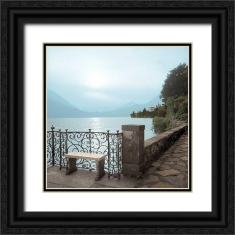 Lake Vista - 1 color Black Ornate Wood Framed Art Print with Double Matting by Blaustein, Alan