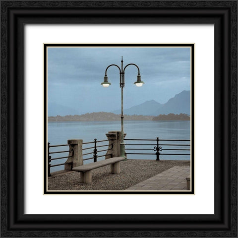 Lake Vista - 5 Black Ornate Wood Framed Art Print with Double Matting by Blaustein, Alan