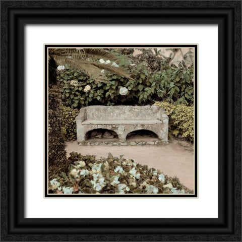 Campagna - 1 color Black Ornate Wood Framed Art Print with Double Matting by Blaustein, Alan