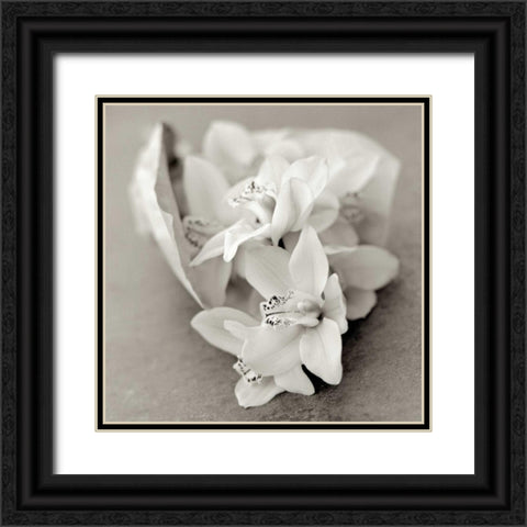 Florison - 27 Black Ornate Wood Framed Art Print with Double Matting by Blaustein, Alan