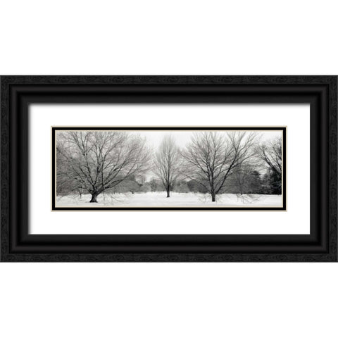 Winter Garden - 1 Black Ornate Wood Framed Art Print with Double Matting by Blaustein, Alan