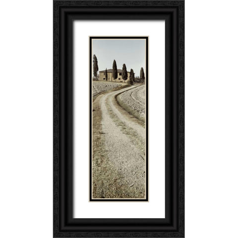 Tuscany - 17 Black Ornate Wood Framed Art Print with Double Matting by Blaustein, Alan