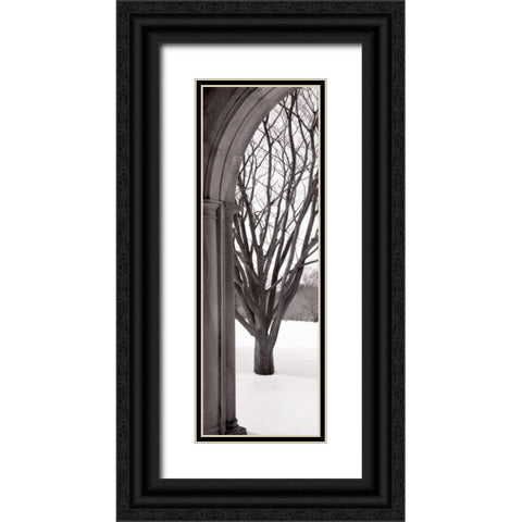 Hampton Winter Arch Black Ornate Wood Framed Art Print with Double Matting by Blaustein, Alan