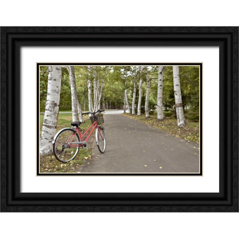 Japan Bicycle - 18 Black Ornate Wood Framed Art Print with Double Matting by Blaustein, Alan