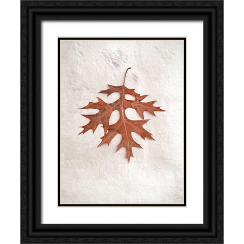 Floral - 27 Black Ornate Wood Framed Art Print with Double Matting by Blaustein, Alan