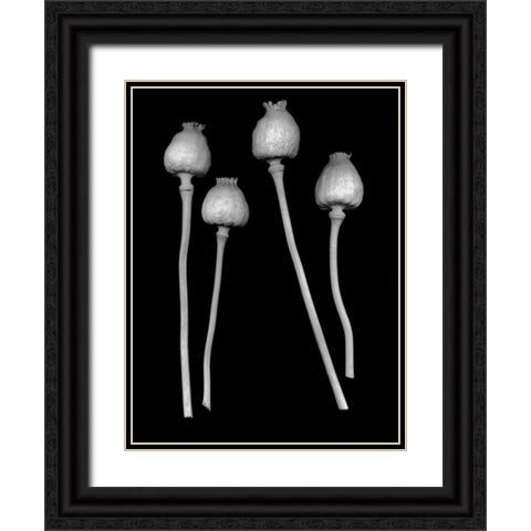 Floral B-W - 21 Black Ornate Wood Framed Art Print with Double Matting by Blaustein, Alan