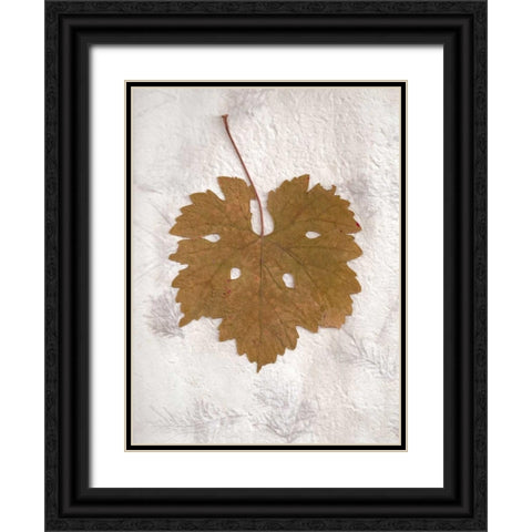 Floral - 28 Black Ornate Wood Framed Art Print with Double Matting by Blaustein, Alan