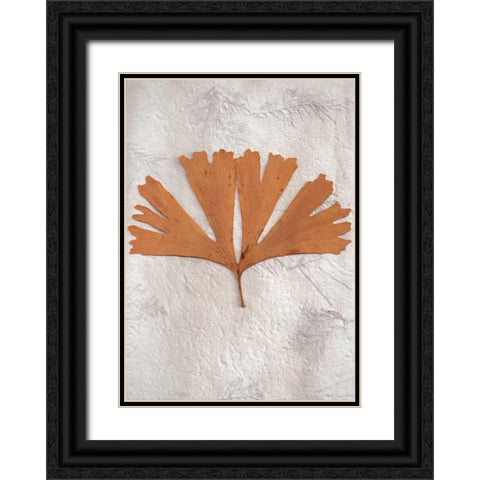 Floral - 30 Black Ornate Wood Framed Art Print with Double Matting by Blaustein, Alan