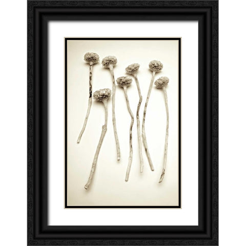 Garden Bloom - 17 Black Ornate Wood Framed Art Print with Double Matting by Blaustein, Alan