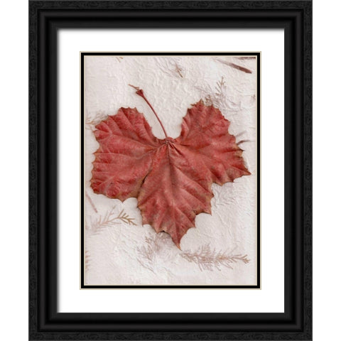 Floral - 31 Black Ornate Wood Framed Art Print with Double Matting by Blaustein, Alan