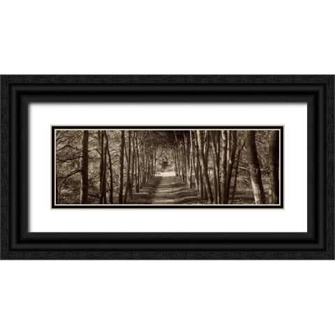 Hampton Gates Promenade - 2 Black Ornate Wood Framed Art Print with Double Matting by Blaustein, Alan
