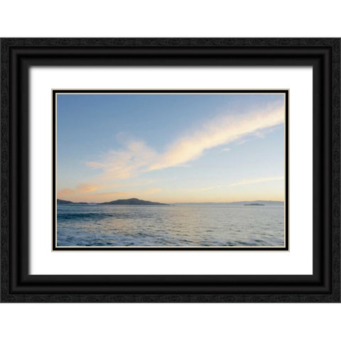 SF Bay - 1 Black Ornate Wood Framed Art Print with Double Matting by Blaustein, Alan