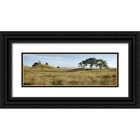 Oak Tree - 83 Black Ornate Wood Framed Art Print with Double Matting by Blaustein, Alan