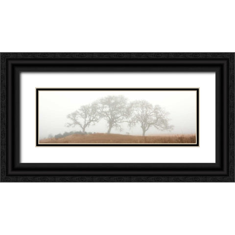 Oak Tree - 15 Black Ornate Wood Framed Art Print with Double Matting by Blaustein, Alan