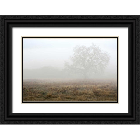 Oak Tree - 28 Black Ornate Wood Framed Art Print with Double Matting by Blaustein, Alan