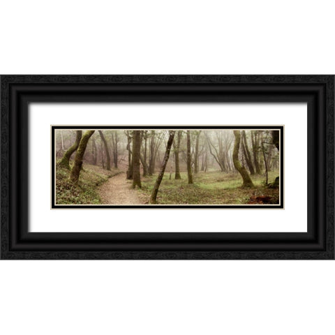 Oak Tree - 20 Black Ornate Wood Framed Art Print with Double Matting by Blaustein, Alan