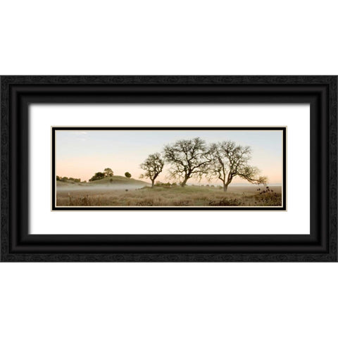 Oak Tree - 32 Black Ornate Wood Framed Art Print with Double Matting by Blaustein, Alan