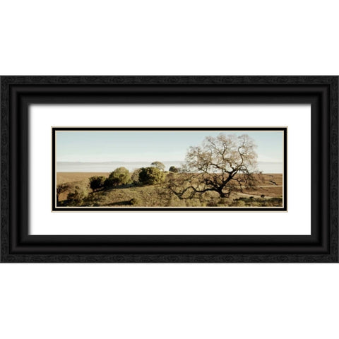 Oak Tree - 37 Black Ornate Wood Framed Art Print with Double Matting by Blaustein, Alan
