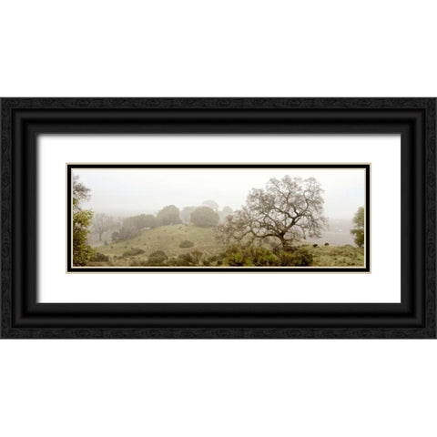 Oak Tree - 41 Black Ornate Wood Framed Art Print with Double Matting by Blaustein, Alan