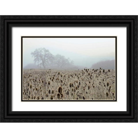 Oak Tree - 61 Black Ornate Wood Framed Art Print with Double Matting by Blaustein, Alan