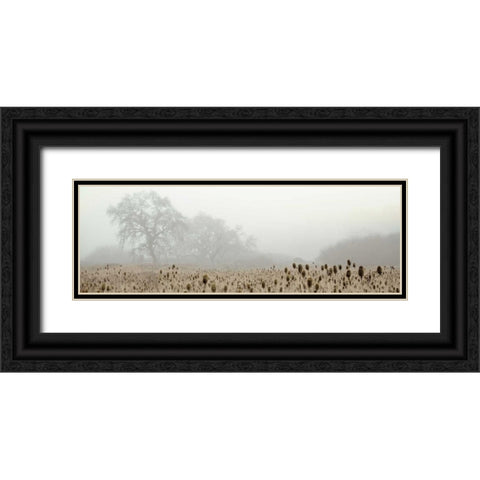 Oak Tree - 60 Black Ornate Wood Framed Art Print with Double Matting by Blaustein, Alan