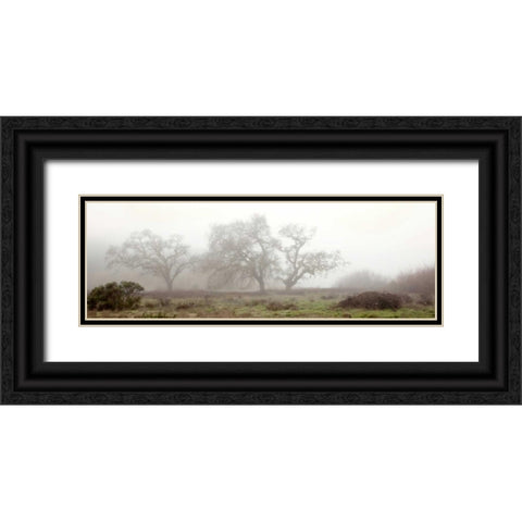 Oak Tree - 58 Black Ornate Wood Framed Art Print with Double Matting by Blaustein, Alan