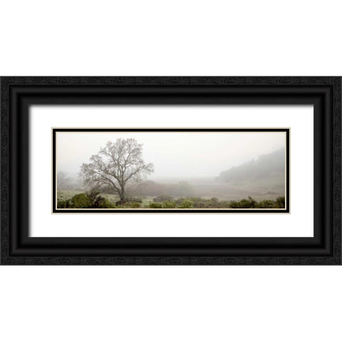 Oak Tree - 55 Black Ornate Wood Framed Art Print with Double Matting by Blaustein, Alan