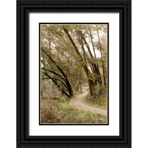 Oak Tree - 49 Black Ornate Wood Framed Art Print with Double Matting by Blaustein, Alan