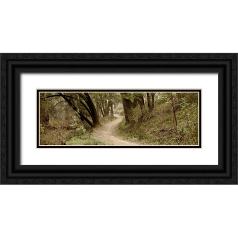 Oak Tree - 50 Black Ornate Wood Framed Art Print with Double Matting by Blaustein, Alan