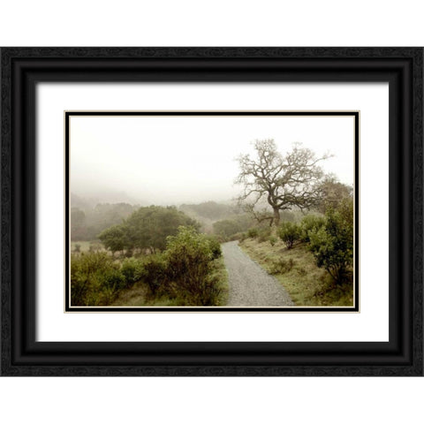 Oak Tree - 44 Black Ornate Wood Framed Art Print with Double Matting by Blaustein, Alan