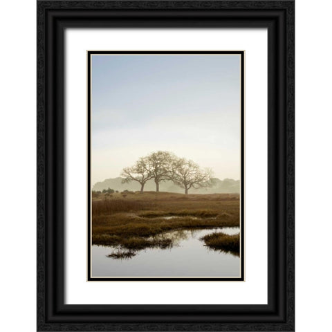 Oak Tree - 66 Black Ornate Wood Framed Art Print with Double Matting by Blaustein, Alan