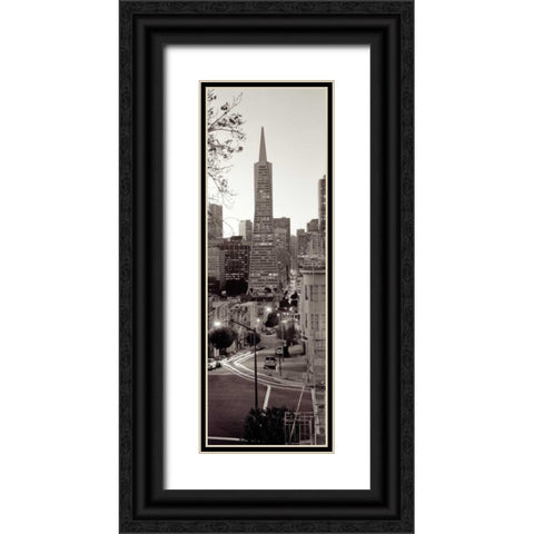 Transamerica Pano - 1 Black Ornate Wood Framed Art Print with Double Matting by Blaustein, Alan
