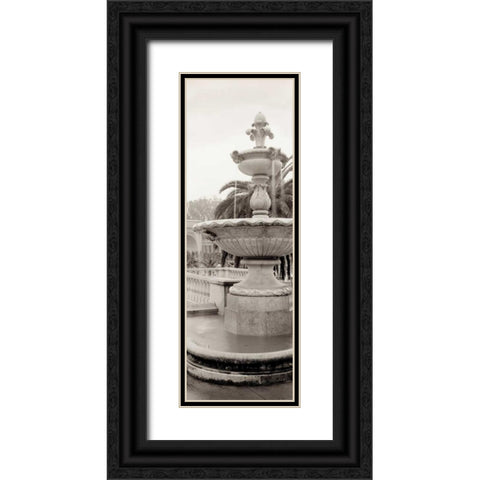 Golden Gate Park Pano - 1 Black Ornate Wood Framed Art Print with Double Matting by Blaustein, Alan